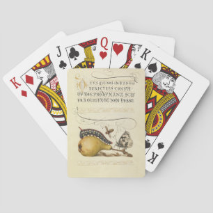 Baraja De Cartas Hoefnagel Vintage Peras e Insectos Siglo XVI Renac
