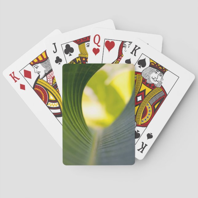 Baraja De Cartas Hoja de plátano (Reverso)