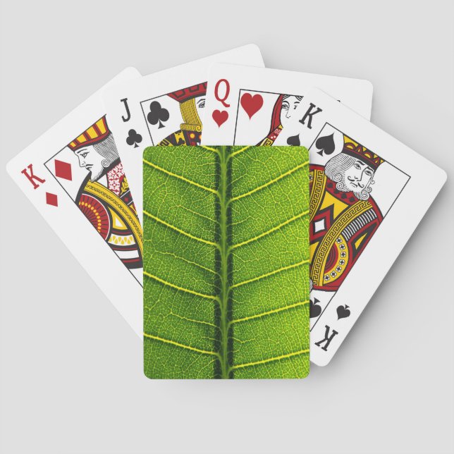 Baraja De Cartas Hoja verde (Reverso)