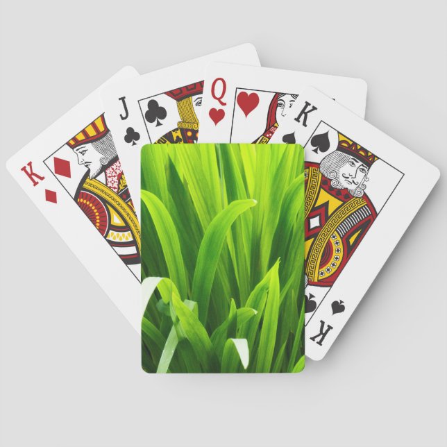 Baraja De Cartas Hojas con Contraluz en Jardín (Reverso)