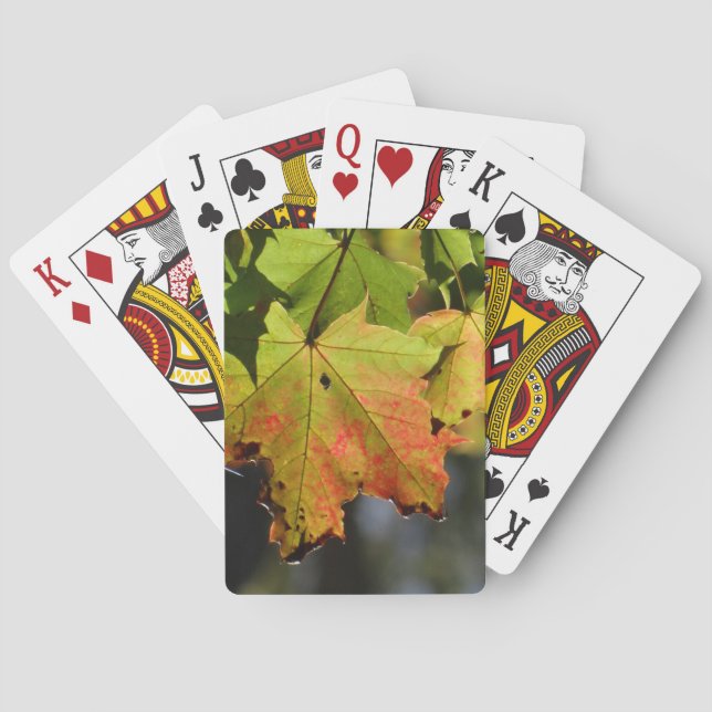 Baraja De Cartas Hojas de caída coloridas (Reverso)