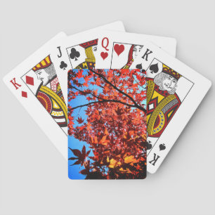 Baraja De Cartas Hojas de color