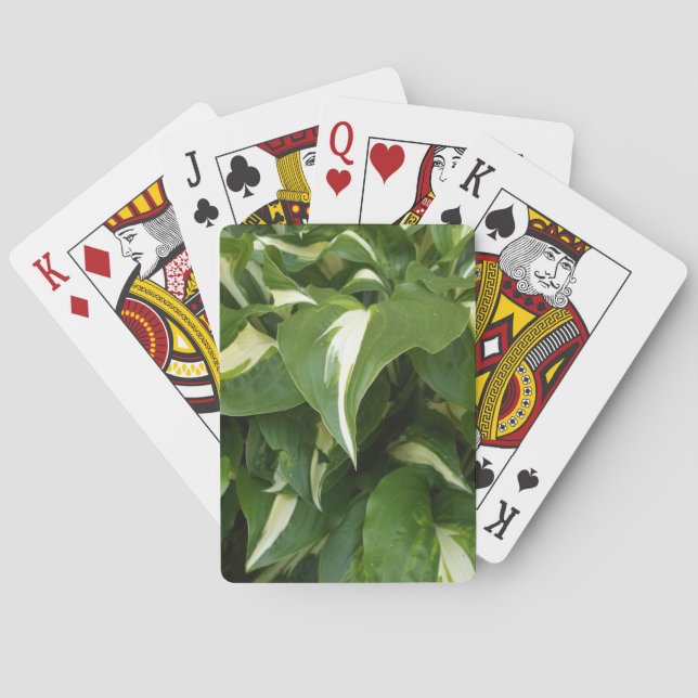 Baraja De Cartas Hojas de Hosta (Reverso)