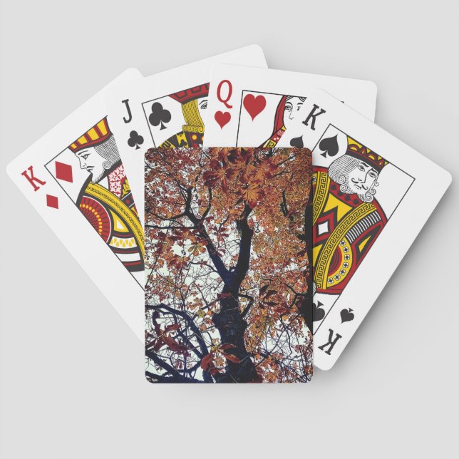 Baraja De Cartas Hojas doradas (Reverso)