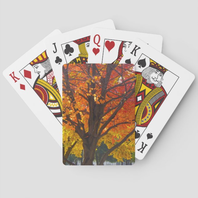 Baraja De Cartas Hojas otoñales de foto amarilla y Naranja (Reverso)
