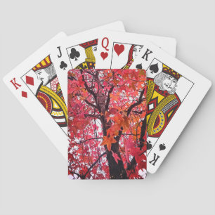 Baraja De Cartas Hojas rosadas