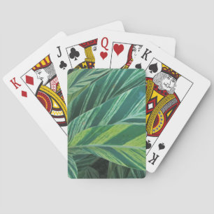 Baraja De Cartas Hojas Tropicales Rayadas Follaje Verde Trópicos