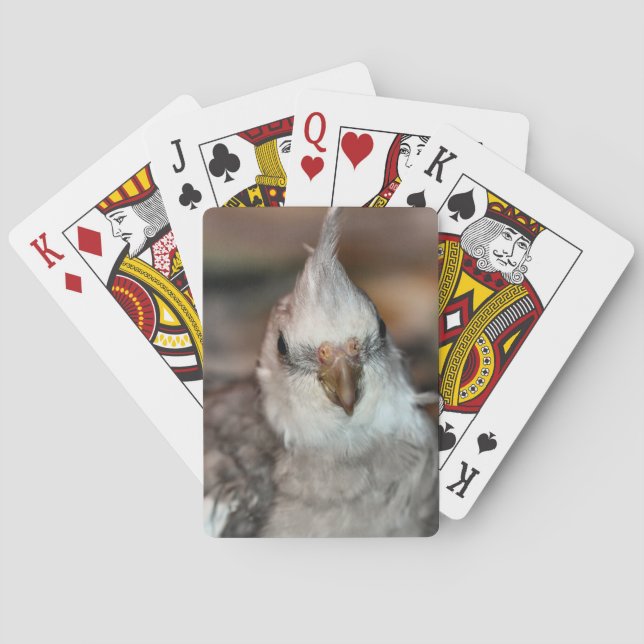 Baraja De Cartas Hola (Reverso)