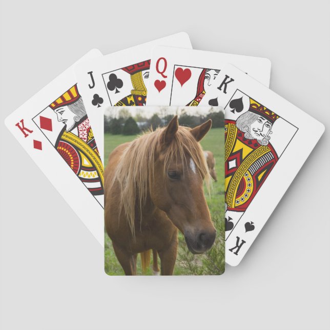Baraja De Cartas Hola de caballo (Reverso)