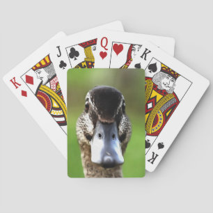 Baraja De Cartas Hola Ducky Quirky Duck Retrato