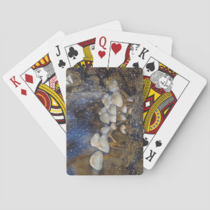 Baraja De Cartas Hongos mágicos