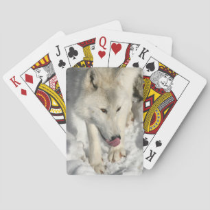 Baraja De Cartas Hora de la cena