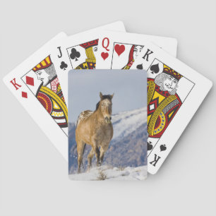 Baraja De Cartas Horses Running in Snow