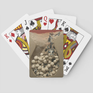 Baraja De Cartas Huevos de bebé