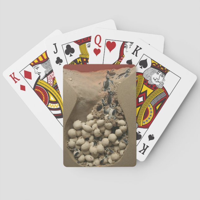Baraja De Cartas Huevos de bebé (Reverso)