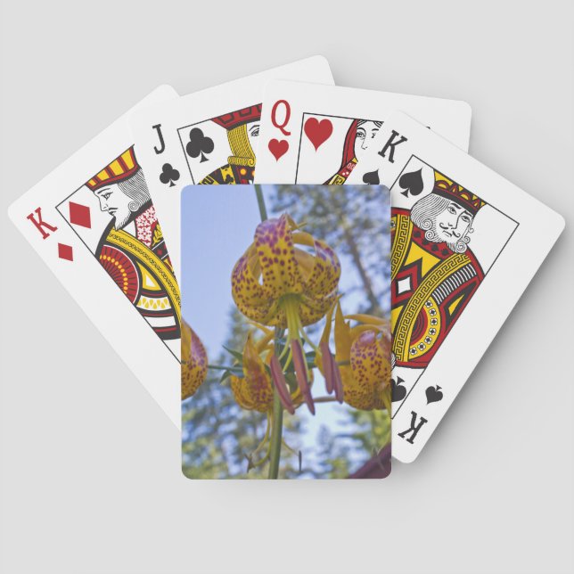 Baraja De Cartas Humboldt Lily (Reverso)
