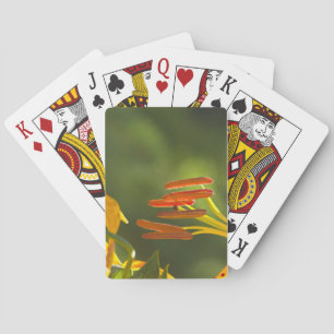 Baraja De Cartas Humboldt Lily Stamens