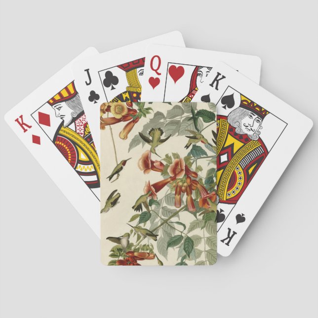 Baraja De Cartas Hummingbird Ruby Throated Audubon (Reverso)