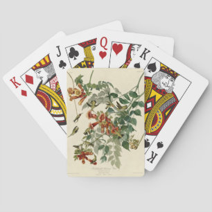 Baraja De Cartas Hummingbird Ruby Throated Audubon