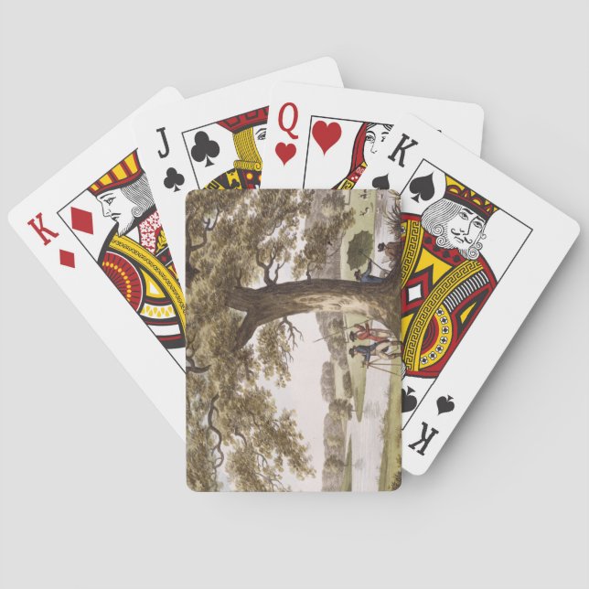 Baraja De Cartas Humphrey Repton que examina con un teodolito (Reverso)