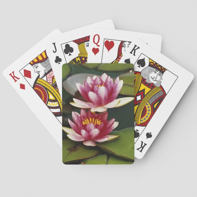 Baraja De Cartas Hybrid water lilies (Reverso)
