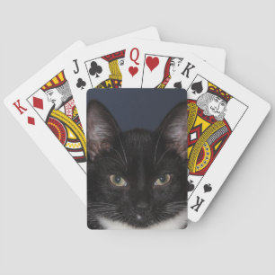 BARAJA DE CARTAS I LUV CATZ