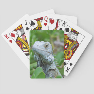 Baraja De Cartas Iguana del peekaboo