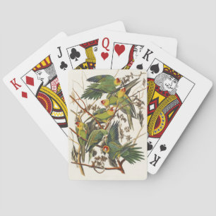 Baraja De Cartas Ilustracion Audubon Carolina Parrot Bird