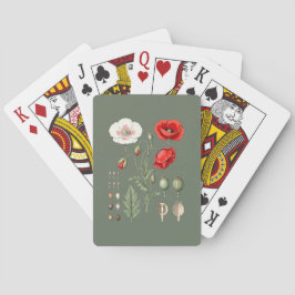 Baraja De Cartas Ilustración botánica arte floral.