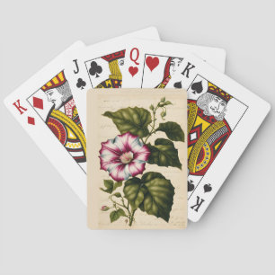 Baraja De Cartas Ilustracion botánico de la Gloria de la Mañana