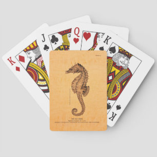 Baraja De Cartas Ilustracion de caballito de mar de época