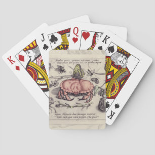 Baraja De Cartas Ilustración de flor de insecto botánico de cangrej