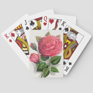 Baraja De Cartas Ilustración de rosa rosa vintage