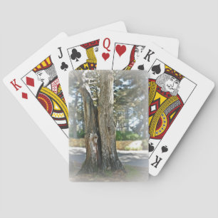 Baraja De Cartas Imagen escénica de dos árboles crecidos juntos