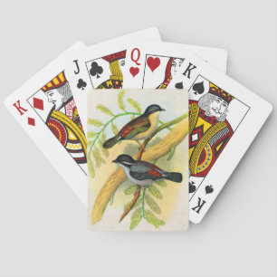 Baraja De Cartas impresión de aves de bonito