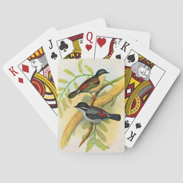 Baraja De Cartas impresión de aves de bonito (Reverso)