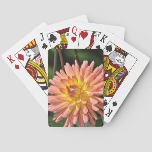 Baraja De Cartas Impresión floral de dahlia rosa hermosa