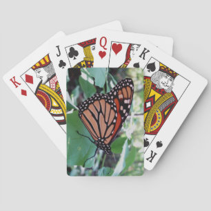 Baraja De Cartas Impresionante cubierta de mariposa para jugar cart