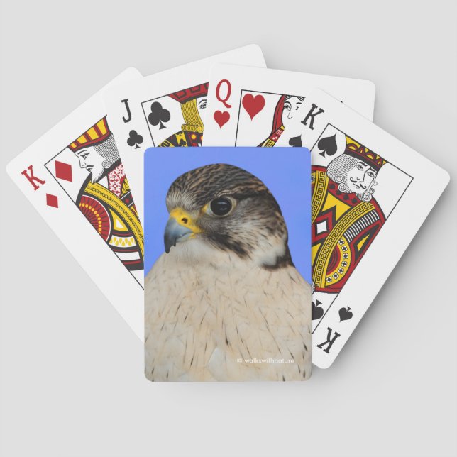 Baraja De Cartas Impresionante Halcón Híbrido Gyrfalcon Saker (Reverso)