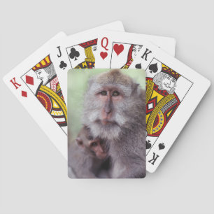 Baraja De Cartas Indonesia, Bali, Ubud, Macaque de larga cola