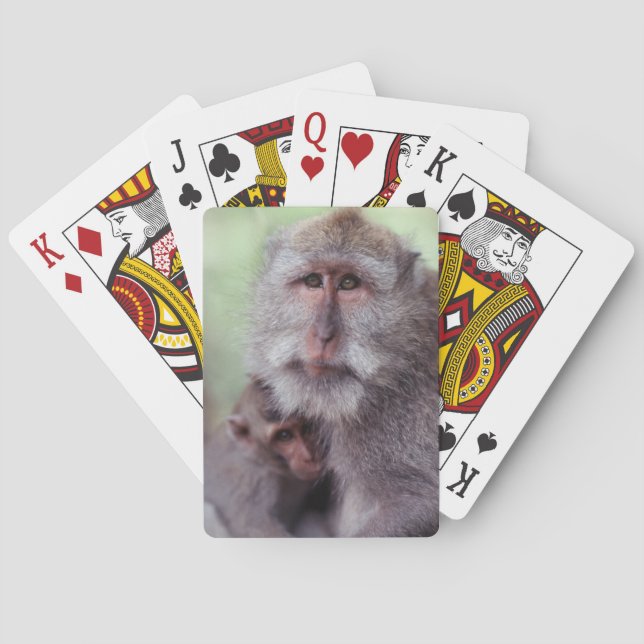 Baraja De Cartas Indonesia, Bali, Ubud, Macaque de larga cola (Reverso)