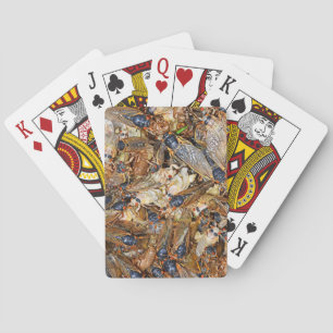 Baraja De Cartas Invasión de Cicada