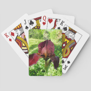 Baraja De Cartas Iris con barba