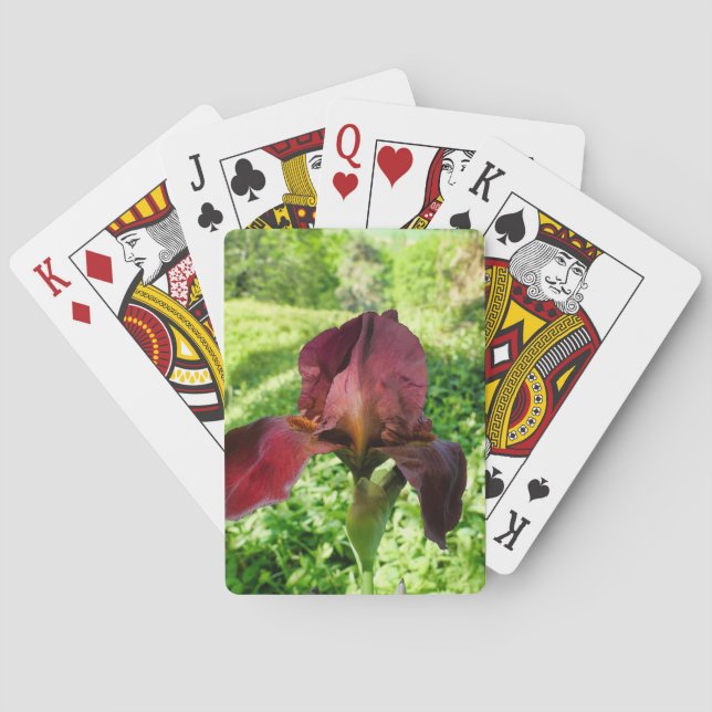 Baraja De Cartas Iris con barba (Reverso)