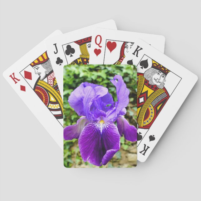 Baraja De Cartas Iris con barba (Reverso)