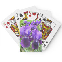 Iris en la floración