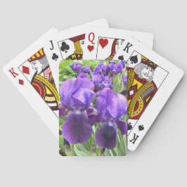 Baraja De Cartas Iris en la floración