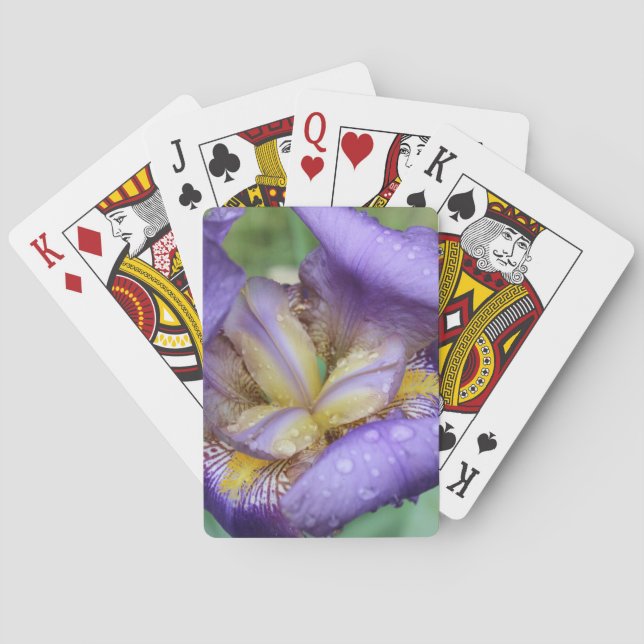 Baraja De Cartas Iris morado (Iris Germanica) (Reverso)