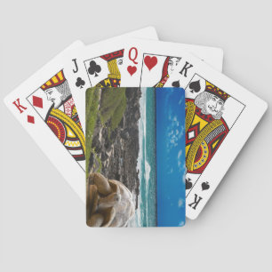 Baraja De Cartas Islas Galápagos, Ecuador