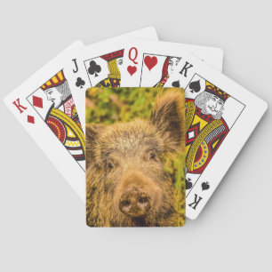 Baraja De Cartas Jabalí